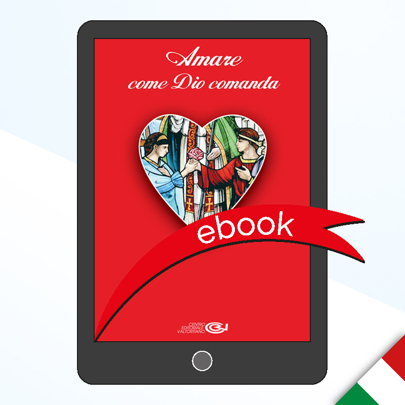 Amare come Dio comanda - Ebook
