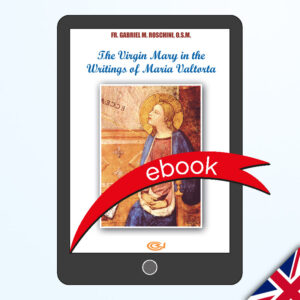 The Virgin Mary in the Writings of Maria Valtorta - Ebook
