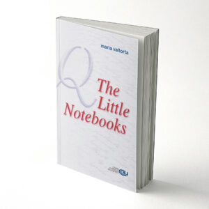 The Little Notebooks